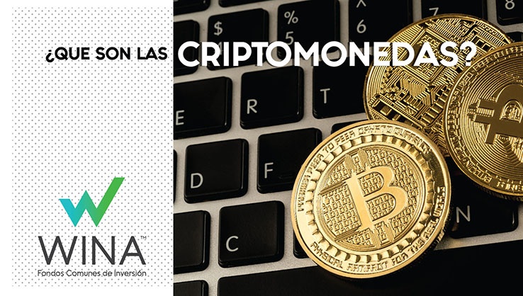 HEADERS WINA NOTAS-02